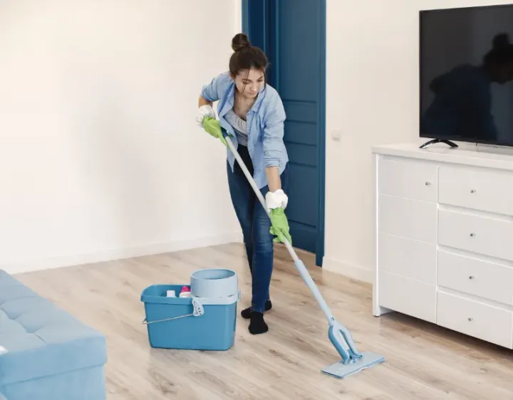 Femme de ménage Oberhoffen-sur-Moder